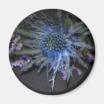 Blue flower fridge magnet