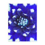Blue Flower Petal Post Card