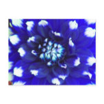 Blue Flower Petal Postcards