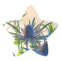 Blue Flower Star Sticker
