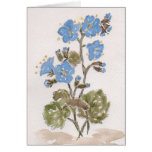 Blue Flowers