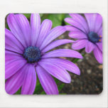 Blue Flowers Mouspad  Daisy Computer Gifts Mousepad