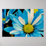 Blue Flowers Poster