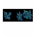 Blue Flowers With Mermaid t-shirts