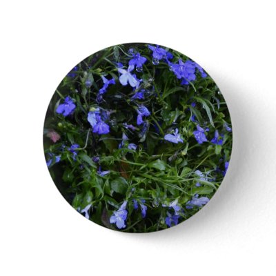 Blue Flowers with Water Droplets Pins by WhiteOaksPhotos