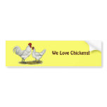 Blue Foot Chickens Bumper Stickers