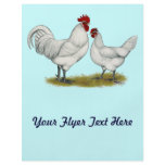 Blue Foot Chickens flyers