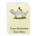 Blue Foot Chickens Personalized Invitation