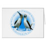 Blue Footed Boobies