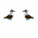 Blue-footed Boobies t-shirts