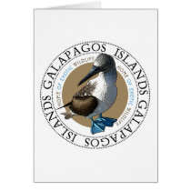 Blue Footed Booby Greeting Cards