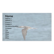 Blue-Footed Booby In Flight Business Card