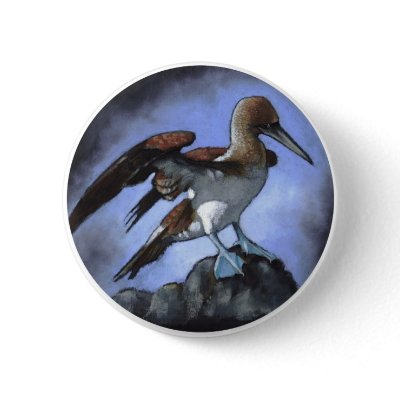 Blue Footed Booby in Oil Pastel Buttons by joyart