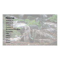Blue-Footed Booby, Mating Business Card Templates