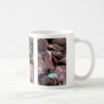 Blue-footed booby, North Seymour Island Coffee Mugs
