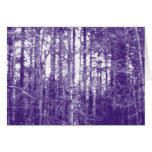 blue forest cards