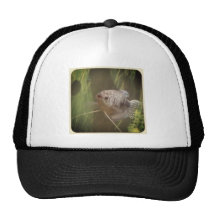 blue freshwater gourmie mesh hat