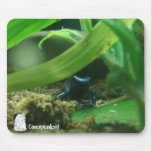 Blue Frog Mousepad