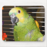 Blue Front Amazon Mouse Pad