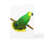 Blue Fronted Amazon Parrot Card