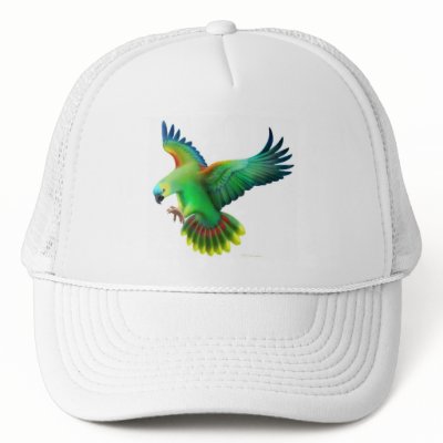 Blue Fronted Amazon Parrot Hat by twopurringcats