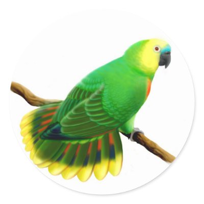 Blue Fronted Amazon Parrot Sticker by twopurringcats