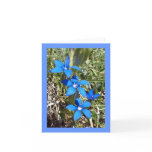 Blue Gentian Alpine Flower -- Greetings card