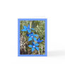 Blue Gentian Alpine Flower -- Greetings card