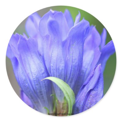 Blue Gentian Flower Photo Sticker Label by SmilinEyesTreasures