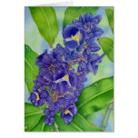 Blue Ginger Watercolour Card