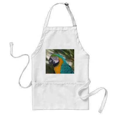 Blue & Gold Macaw Apron by dlgray