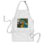 Blue & Gold Macaw Apron