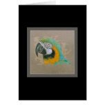 Blue & Gold Macaw Greeting Card