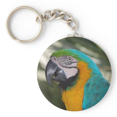 Blue & Gold Macaw Parrot Keychain by dlgray