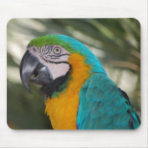 Blue & Gold Macaw Parrot Mousepad