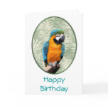 Blue & Gold Macaw with Jungle Background