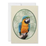 Blue & Gold Macaw with Jungle Background