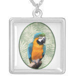 Blue & Gold Macaw with Jungle Background