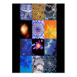 Blue & Gold Stars Photos Collage Postcards