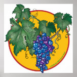 Blue grapes poster