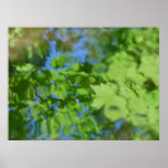 Blue-Green Colours Flashing