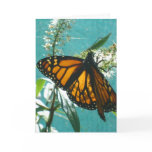 Blue Green Orange Blank Greeting card