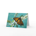 Blue Green Orange Cards