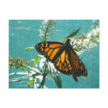 Blue Green Orange Postcard