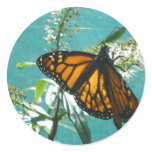 Blue Green Orange Sticker