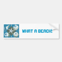 Blue & Green Sea Shells Bumper Stickers