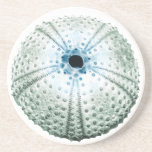 Blue & Green Sea Shells Drink Coaster
