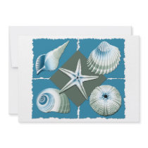 Blue & Green Sea Shells