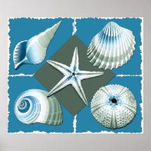 Blue & Green Sea Shells Posters