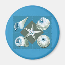Blue & Green Sea Shells Refrigerator Magnets